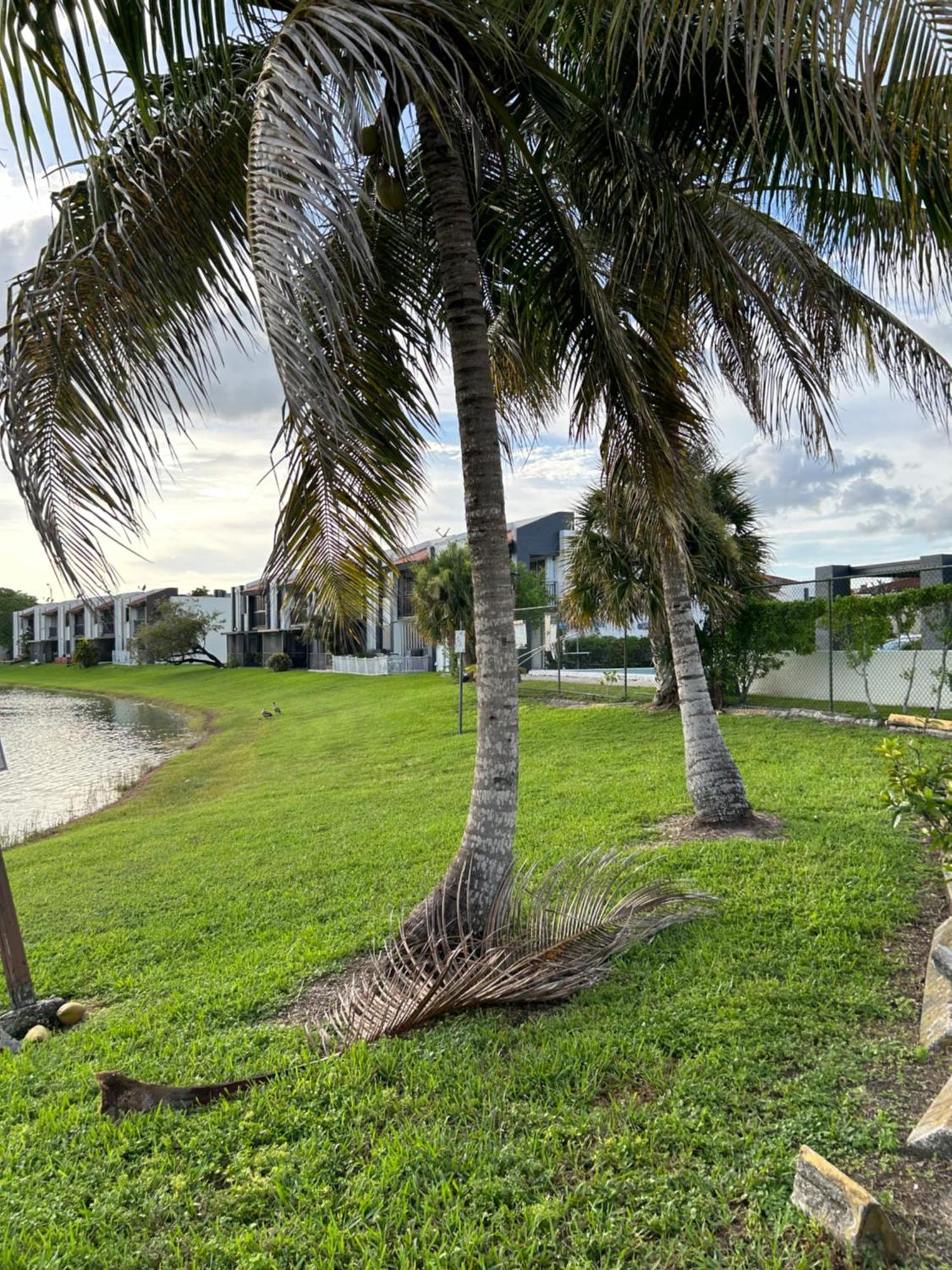 Beautiful With Very Elegant Colonial Decoration Apartment Tamiami